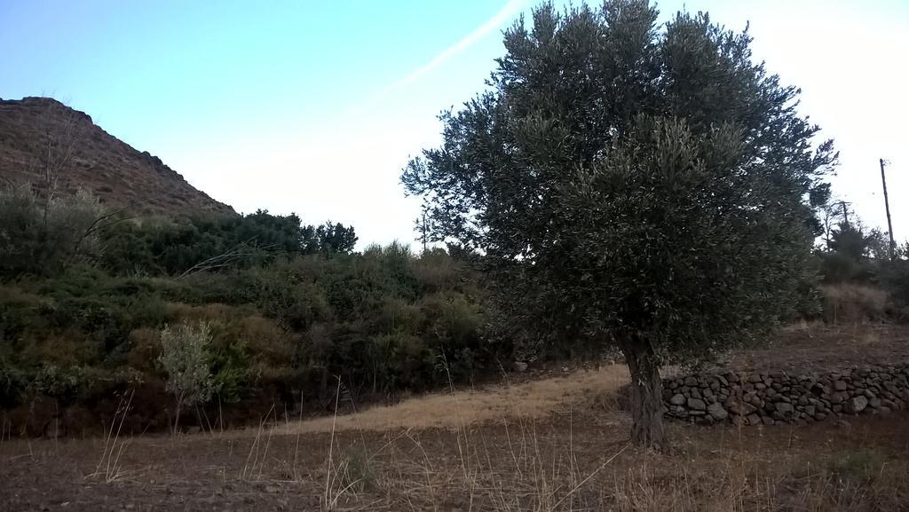 Mastiha Seaside Emporios